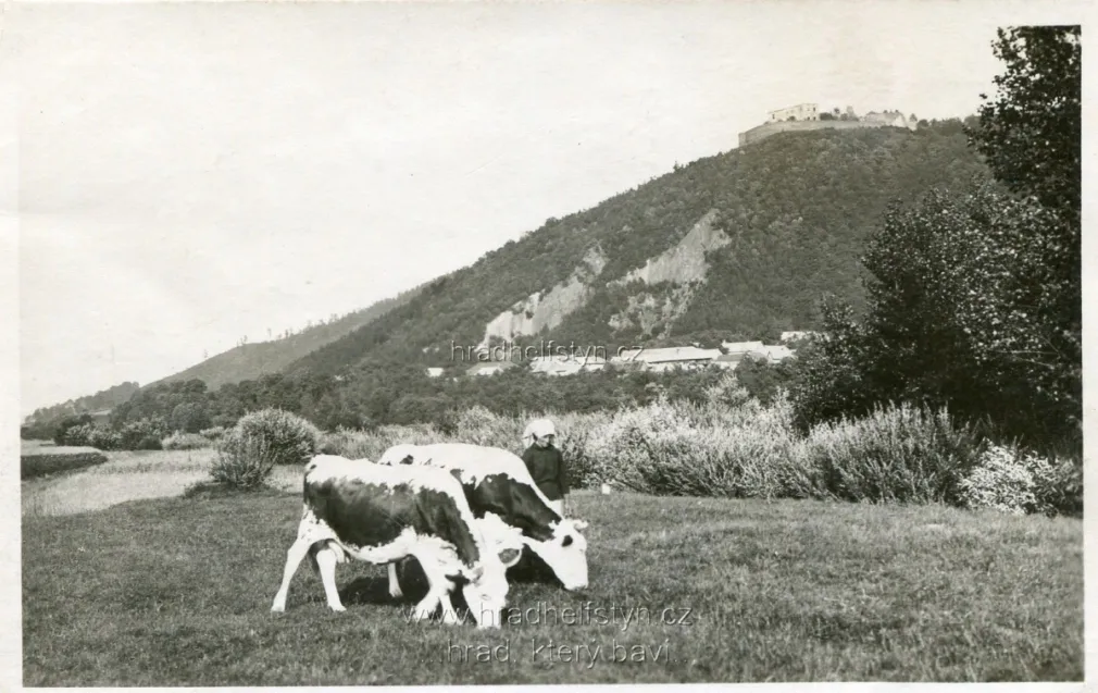 Helfštýn, MF, tisk Grafo Čuda Holice