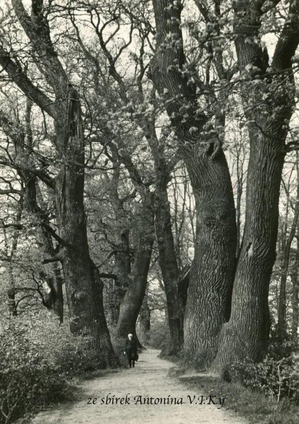 Tovačov, VF, prošlá 1961